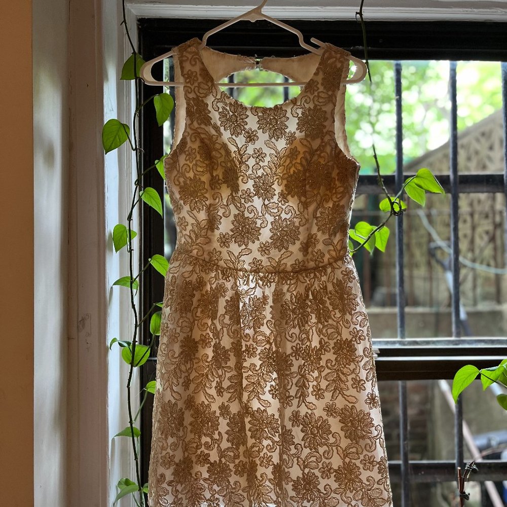 ark & co. dress
